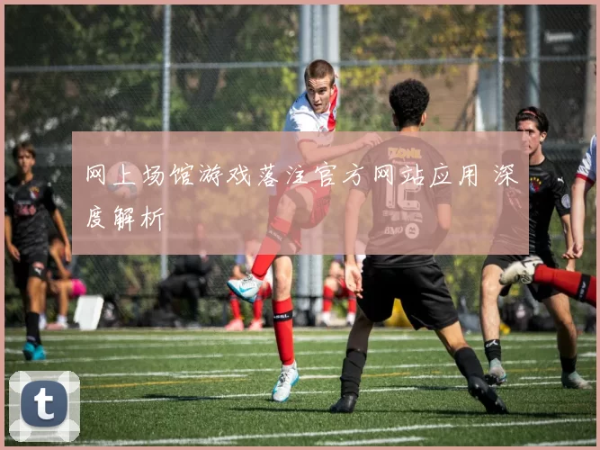 网上场馆游戏落注官方网站应用 深度解析