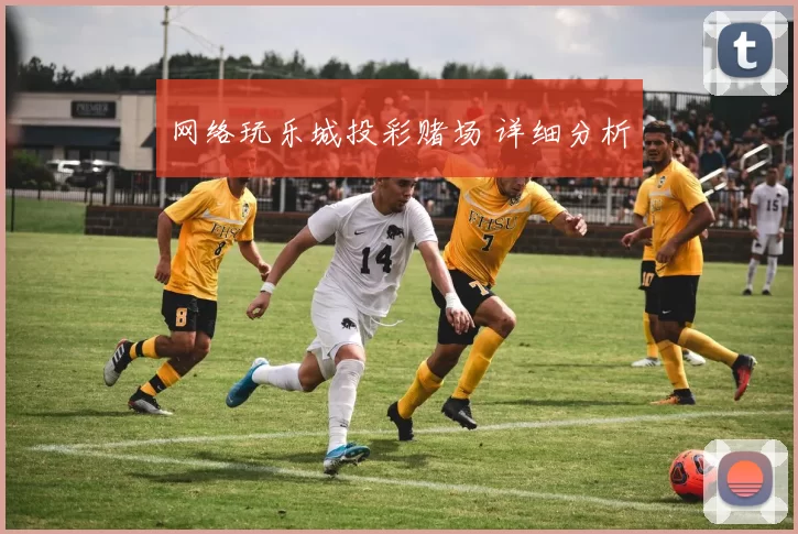 网络玩乐城投彩赌场 详细分析