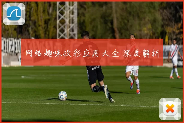 网络趣味投彩应用大全 深度解析