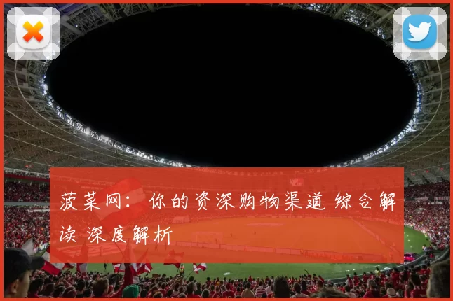 菠菜网：你的资深购物渠道 综合解读 深度解析