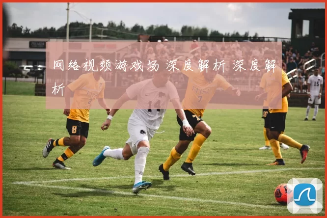 网络视频游戏场 深度解析 深度解析