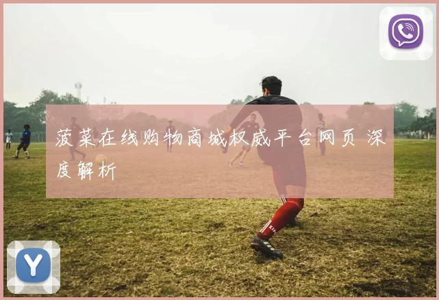 菠菜在线购物商城权威平台网页 深度解析