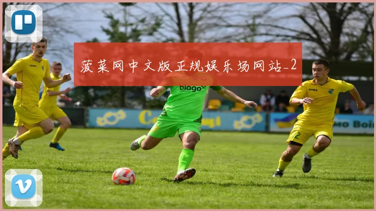 菠菜网中文版正规娱乐场网站_2